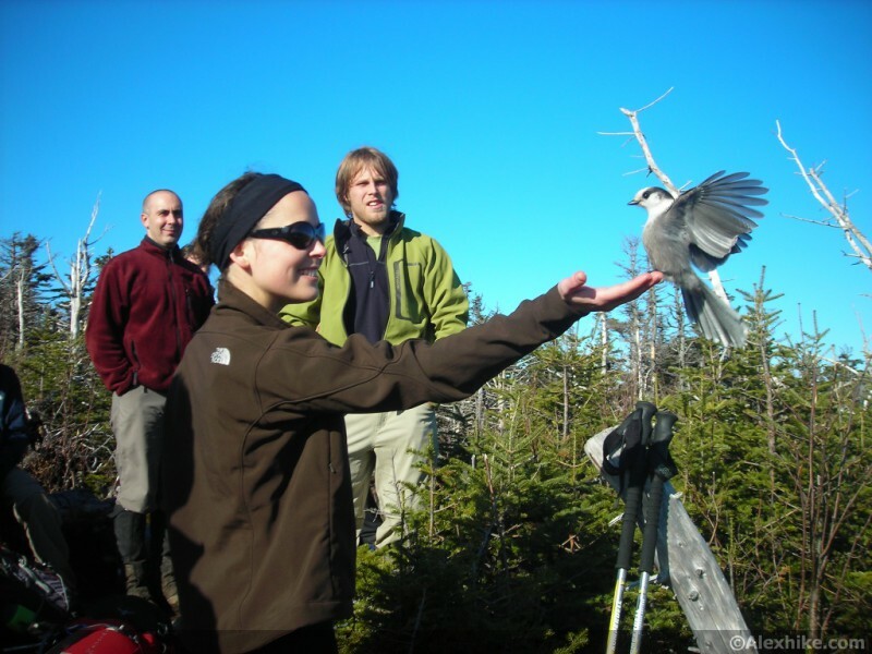 Elsa au sommet de Tom