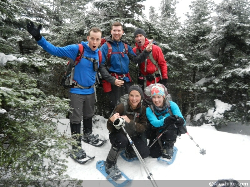 Sommet boisé de Galehead