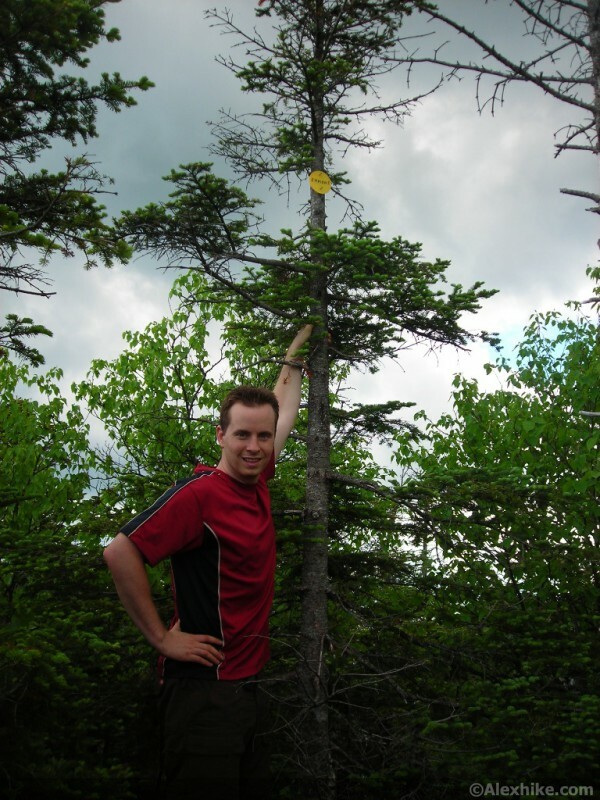 Alex au sommet du mont Emmons