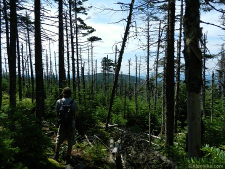 Mont Gosford, Cantons-de-l'Est, Québec