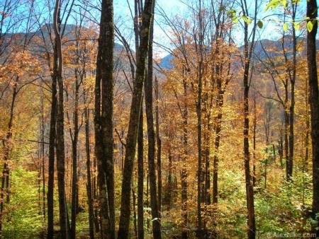 En route vers le mont Gothics, Adirondacks