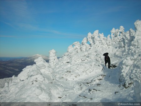 Mont Camel's Hump, Vermont