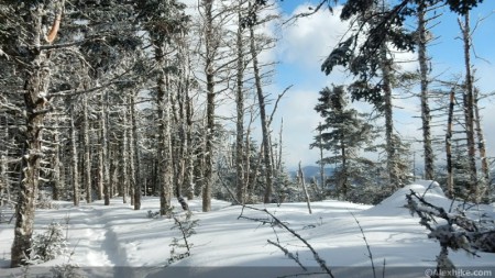Mont Wildcat, New Hampshire