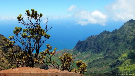 Kokee State Park, Kauai (Hawaii)