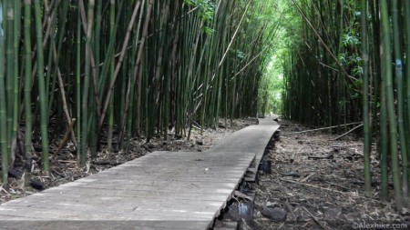 Haleakala National Park, Maui (Hawaii)
